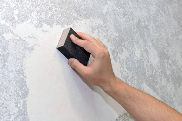 Best Dehumidification Services  in Shawnee, KS