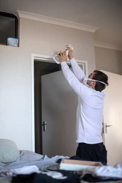 Best Real Estate Mold Inspection  in Shawnee, KS