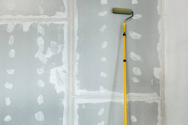 Best Post-Construction Mold Inspection  in Shawnee, KS