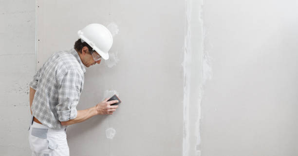 Best Mold Remediation for Healthcare Facilities  in Shawnee, KS