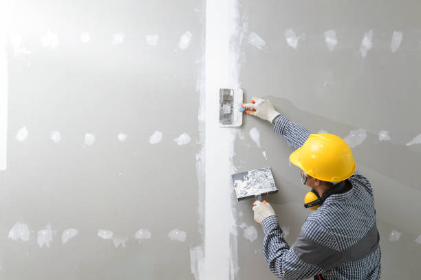Best Attic Mold Removal  in Shawnee, KS