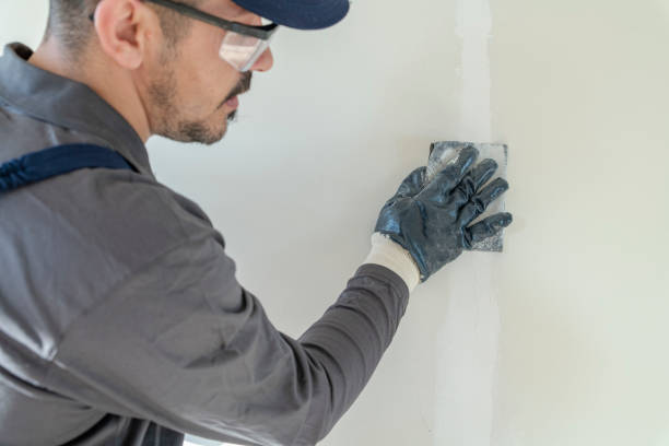Best Mold Odor Removal Services  in Shawnee, KS