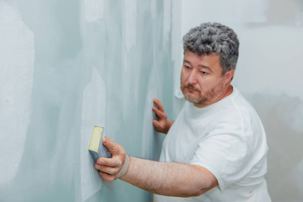 Best Basement Mold Removal  in Shawnee, KS