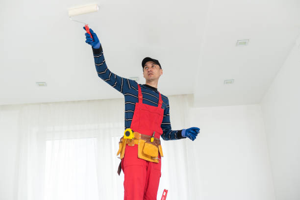 Best Mold Prevention Services  in Shawnee, KS