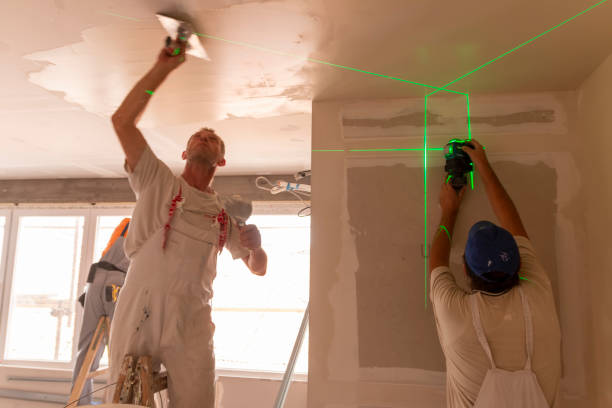 Best Environmental Consulting for Mold Prevention  in Shawnee, KS