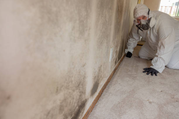Best Air Quality Testing for Mold Spores  in Shawnee, KS