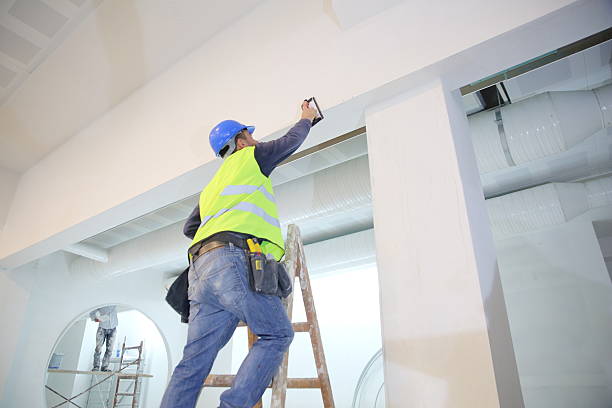 Best Water Damage & Mold Remediation  in Shawnee, KS