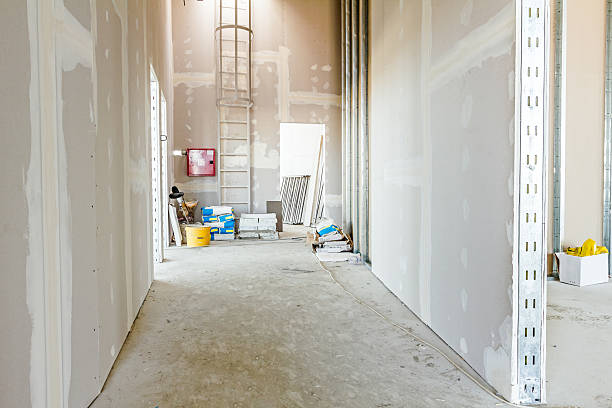 Best Biohazard Mold Removal  in Shawnee, KS