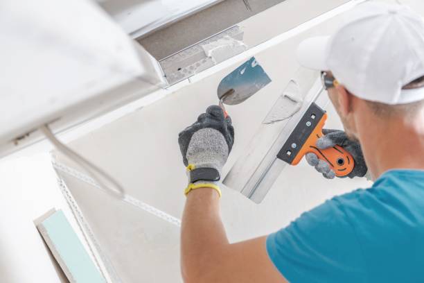 Best Mold Damage Restoration  in Shawnee, KS